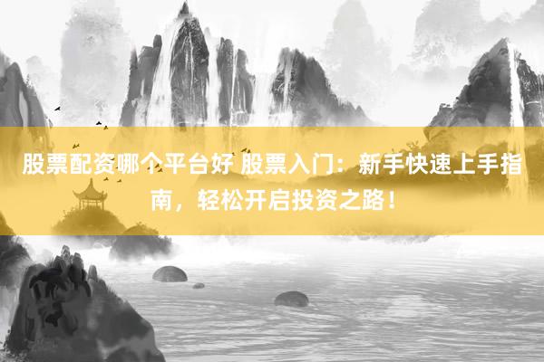 股票配资哪个平台好 股票入门：新手快速上手指南，轻松开启投资之路！