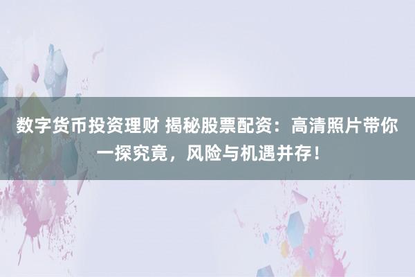 数字货币投资理财 揭秘股票配资：高清照片带你一探究竟，风险与机遇并存！