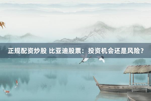 正规配资炒股 比亚迪股票：投资机会还是风险？
