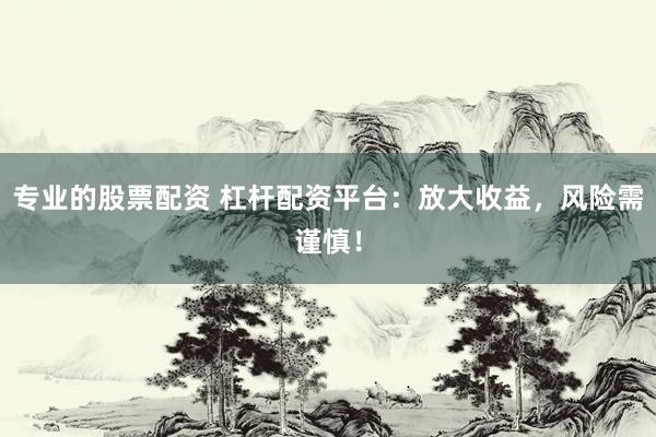 专业的股票配资 杠杆配资平台：放大收益，风险需谨慎！