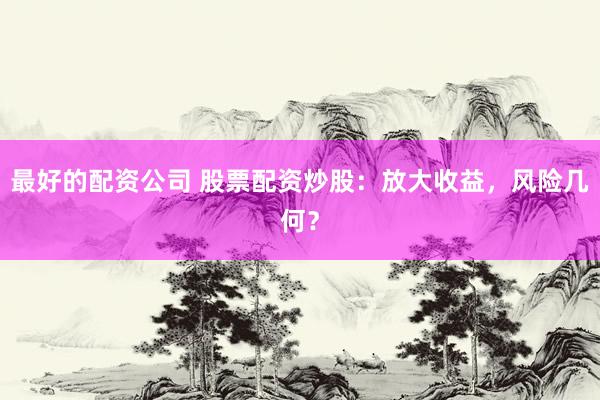 最好的配资公司 股票配资炒股：放大收益，风险几何？
