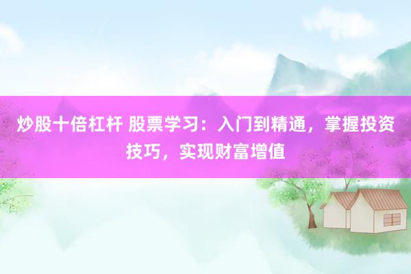 炒股十倍杠杆 股票学习：入门到精通，掌握投资技巧，实现财富增值
