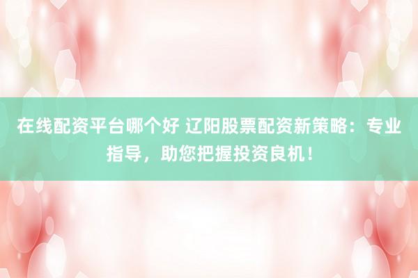 在线配资平台哪个好 辽阳股票配资新策略：专业指导，助您把握投资良机！