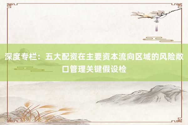 深度专栏：五大配资在主要资本流向区域的风险敞口管理关键假设检