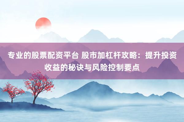 专业的股票配资平台 股市加杠杆攻略：提升投资收益的秘诀与风险控制要点
