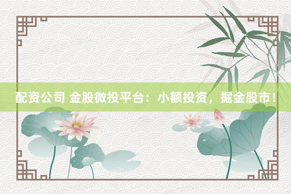 配资公司 金股微投平台：小额投资，掘金股市！