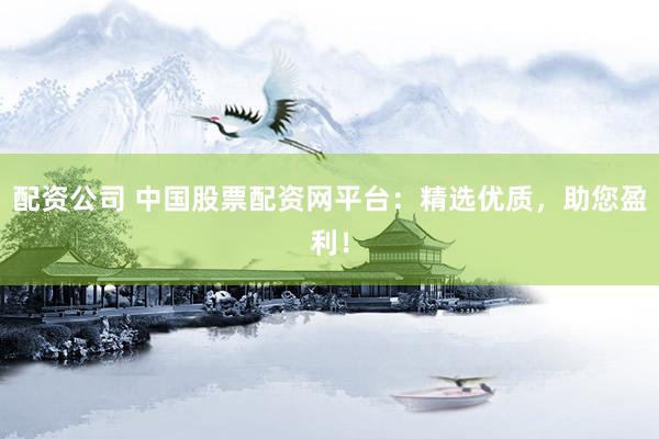 配资公司 中国股票配资网平台:精选优质,助您盈利!