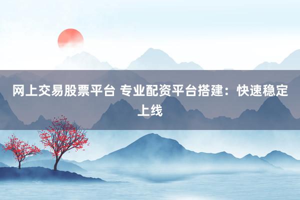 网上交易股票平台 专业配资平台搭建：快速稳定上线